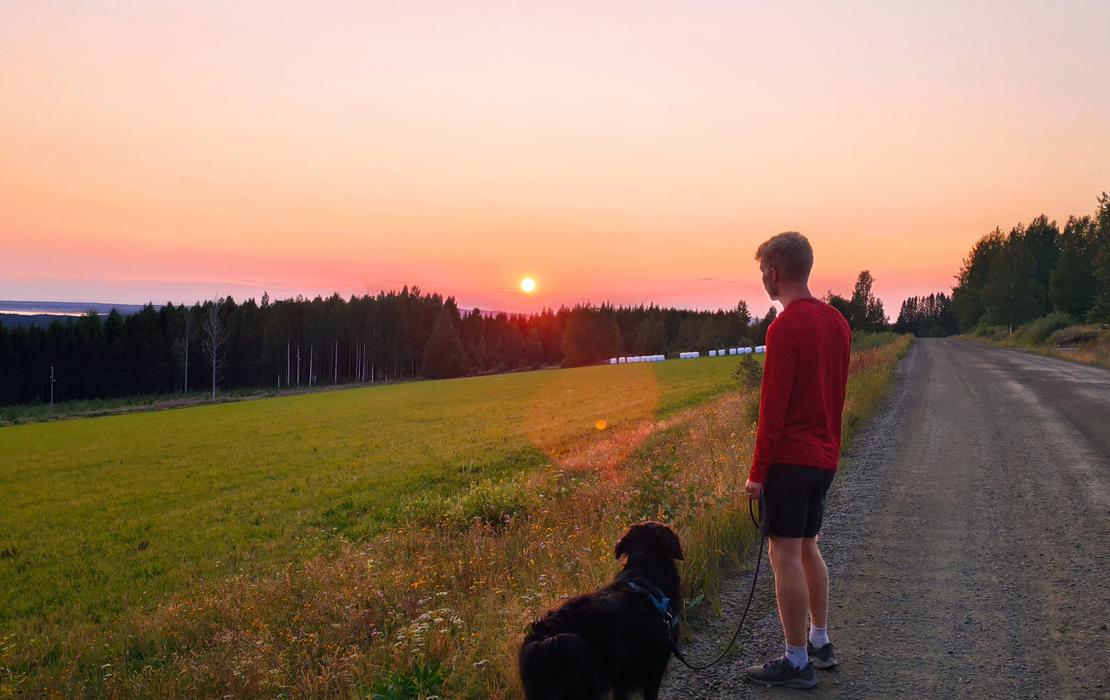 Maisema kyl&auml;nraitilta
